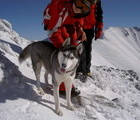 Hera, Albutin Mt. Pirin, Bulgaria, 12-09-2010, by Teodora Hadjiyska  teddy-land.com