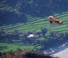 Eagle, India, 2008-11-01, by DidkoBravo