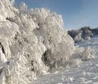 Winter, Mt. Stara Planina, 2008-12-24, by Teodora Hadjiyska  teddy-land.com