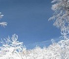 Winter, Mt. Stara Planina, 2008-12-24, by Teodora Hadjiyska  teddy-land.com