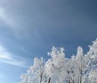 Winter, Mt. Stara Planina, 2008-12-24, by Teodora Hadjiyska  teddy-land.com