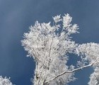 Winter, Mt. Stara Planina, 2008-12-24, by Teodora Hadjiyska  teddy-land.com