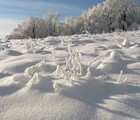 Winter, Mt. Stara Planina, 2008-12-24, by Teodora Hadjiyska  teddy-land.com