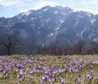 Balkan mountain range, Bulgaria, 2008-03-01, by Miro Nenkov