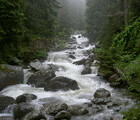 Mt. Pirin, Bulgaria, 2002-01-09, by Teodora Hadjiyska  teddy-land.com