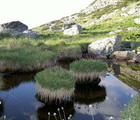 Mt. Rila, Bulgaria, 2007-06-28, by Teodora Hadjiyska  teddy-land.com