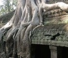 Angkor Wat, Jungle Temple, Cambodia, 2011-05-12, by Miro Nankov